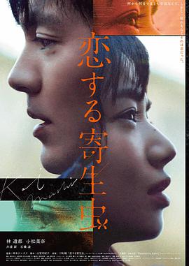 《雪国来信》日本剧情片封面